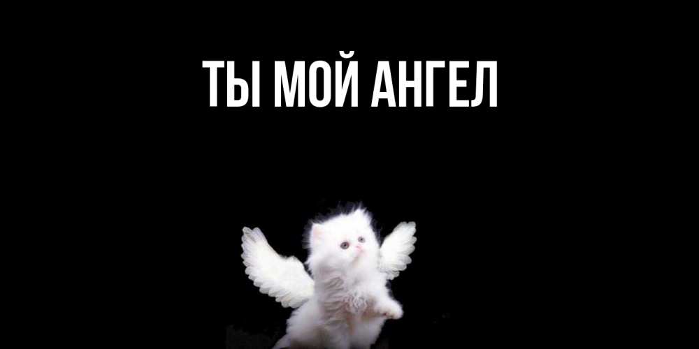 Картинка Ты мой ангел, 