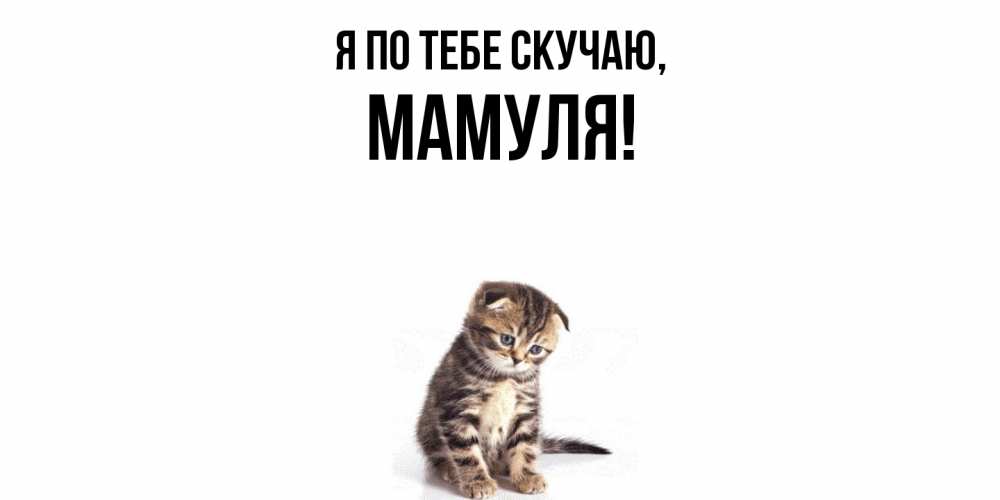 Картинка Я по тебе скучаю, Мамуля