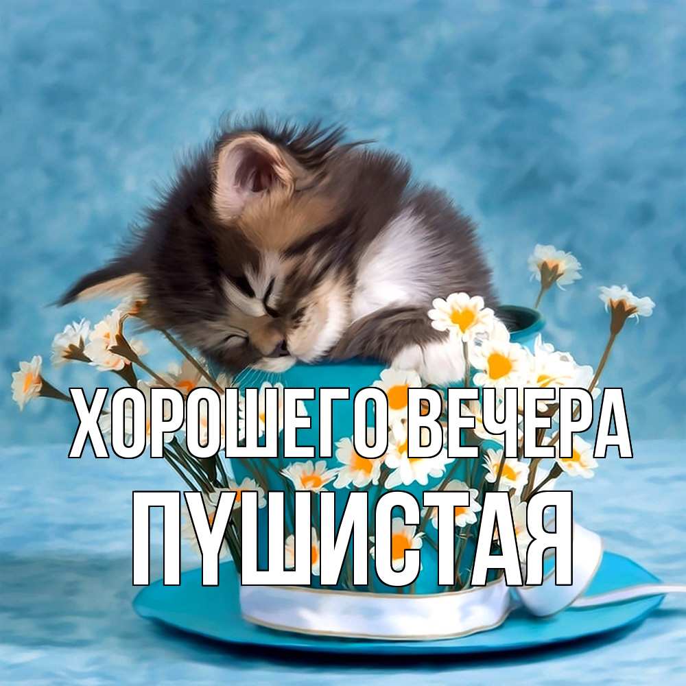 Картинка Хорошего вечера, пyшистая