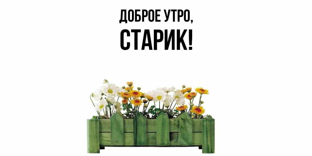 Открытка с именем, Старик, Доброе утро