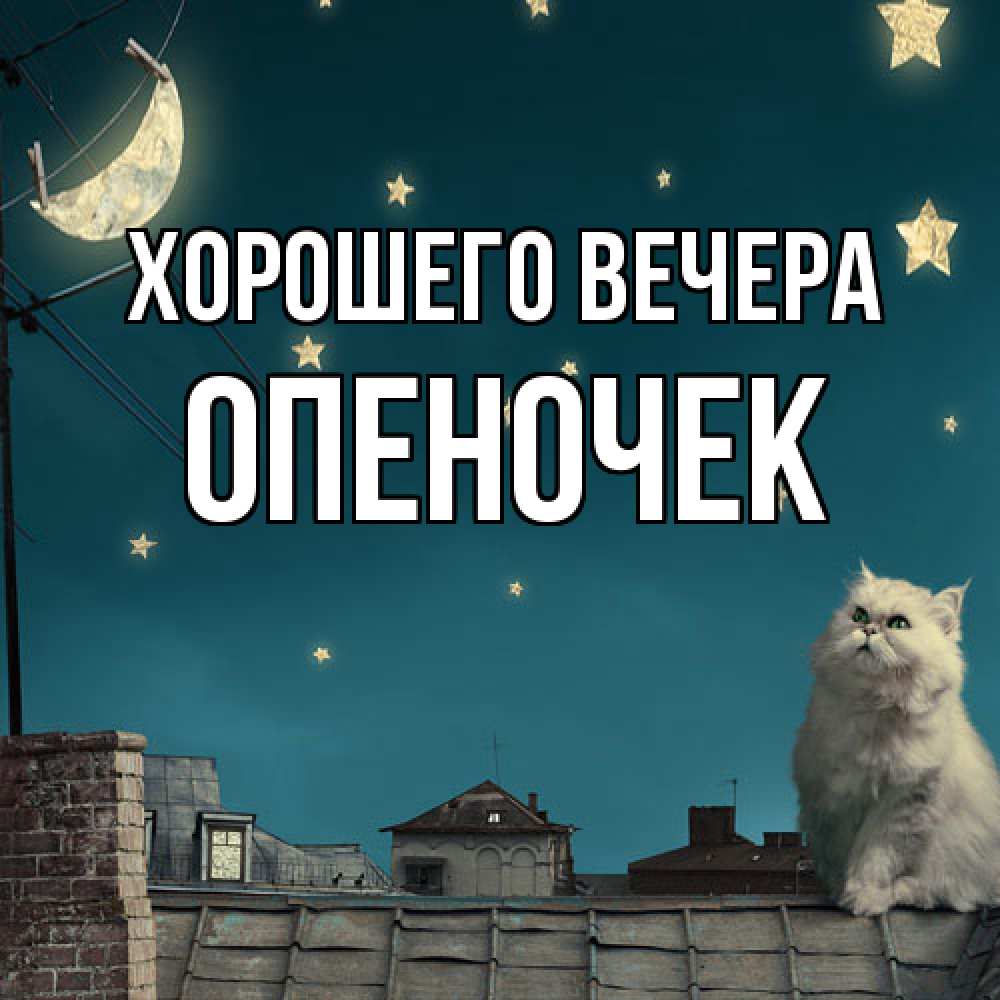 Картинка Хорошего вечера, опеночек