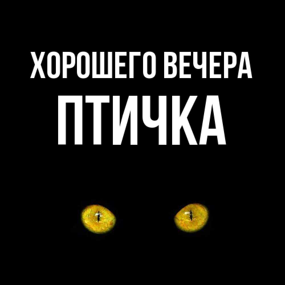 Открытка  для любимых и родных. птичка, Хорошего вечера  