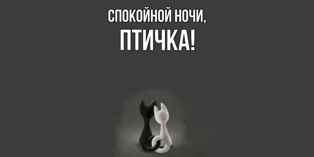 Открытка  для любимых и родных. птичка, Спокойной ночи  