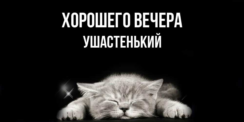 Открытка  для любимых и родных. ушастенький, Хорошего вечера  