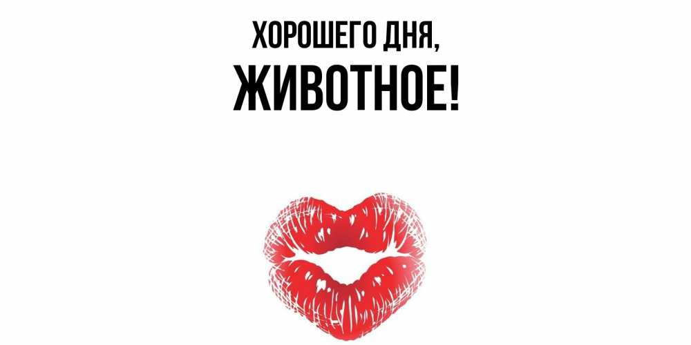 Картинка Хорошего дня, животное
