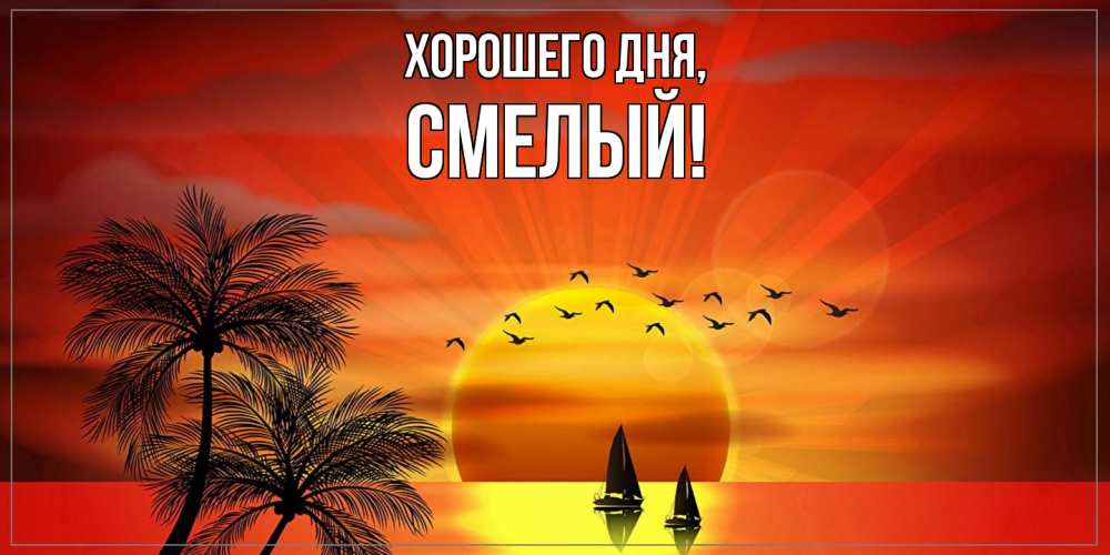 Открытка  для любимых и родных. смелый, Хорошего дня  