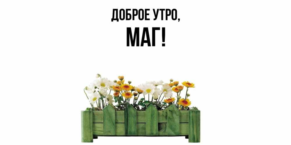 Открытка с именем, маг, Доброе утро