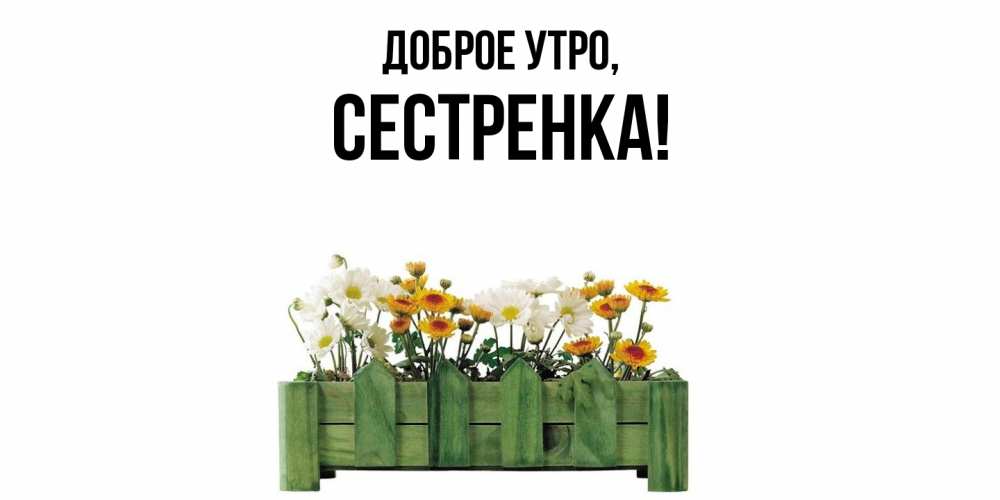 Открытка  для любимых и родных. Сестренка, Доброе утро  