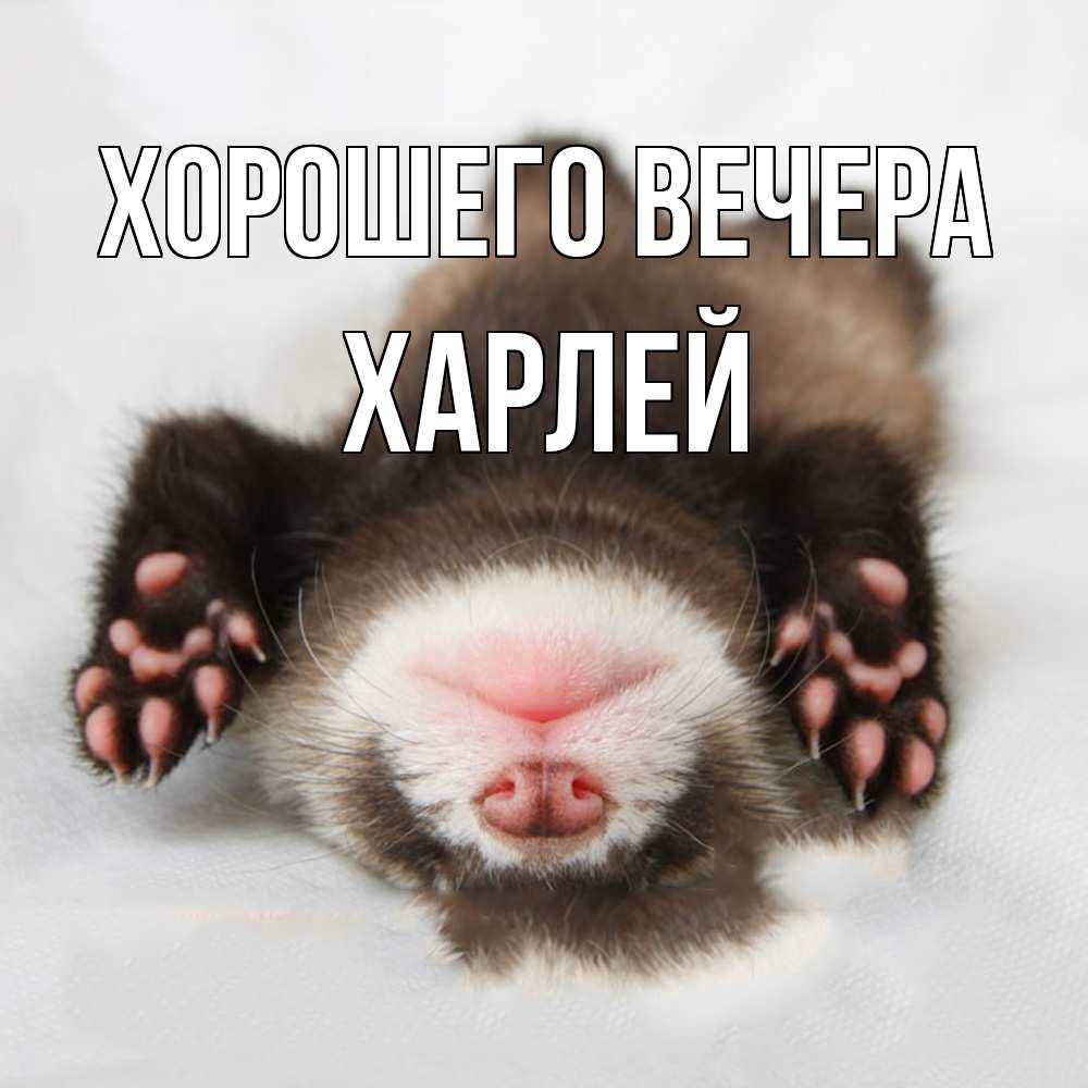 Открытка  для любимых и родных. харлей, Хорошего вечера  