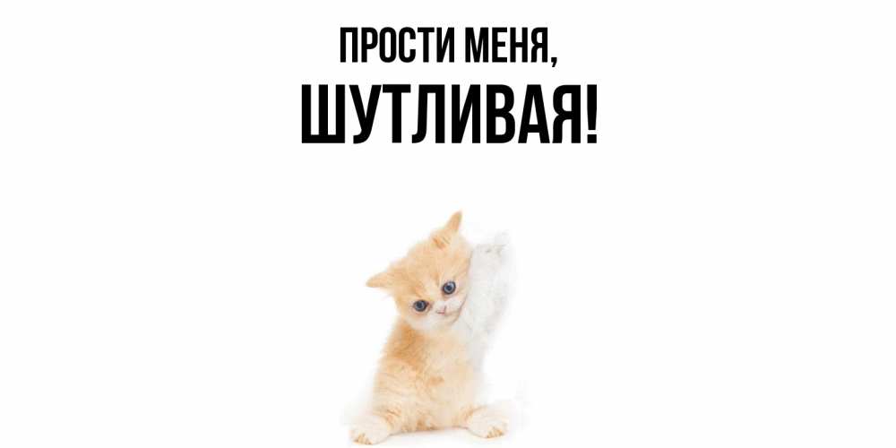 Открытка  для любимых и родных. шутливая, Прости меня  