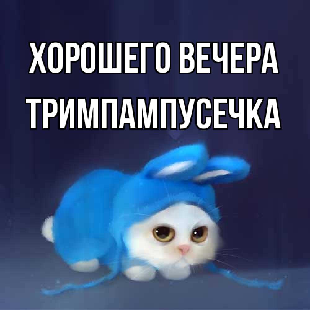Открытка  для любимых и родных. тримпампусечка, Хорошего вечера  