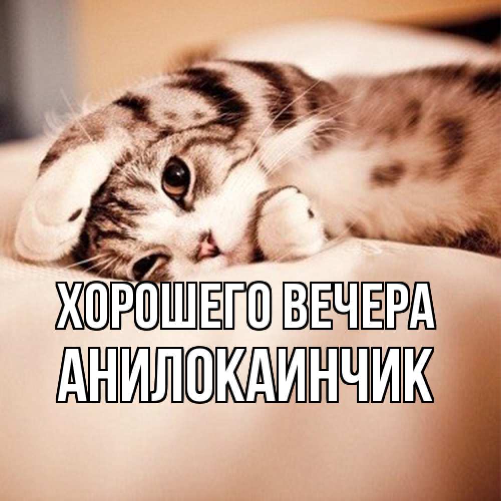 Открытка  для любимых и родных. анилокаинчик, Хорошего вечера  