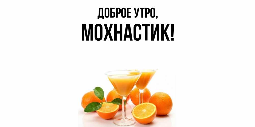 Картинка Доброе утро, мохнастик