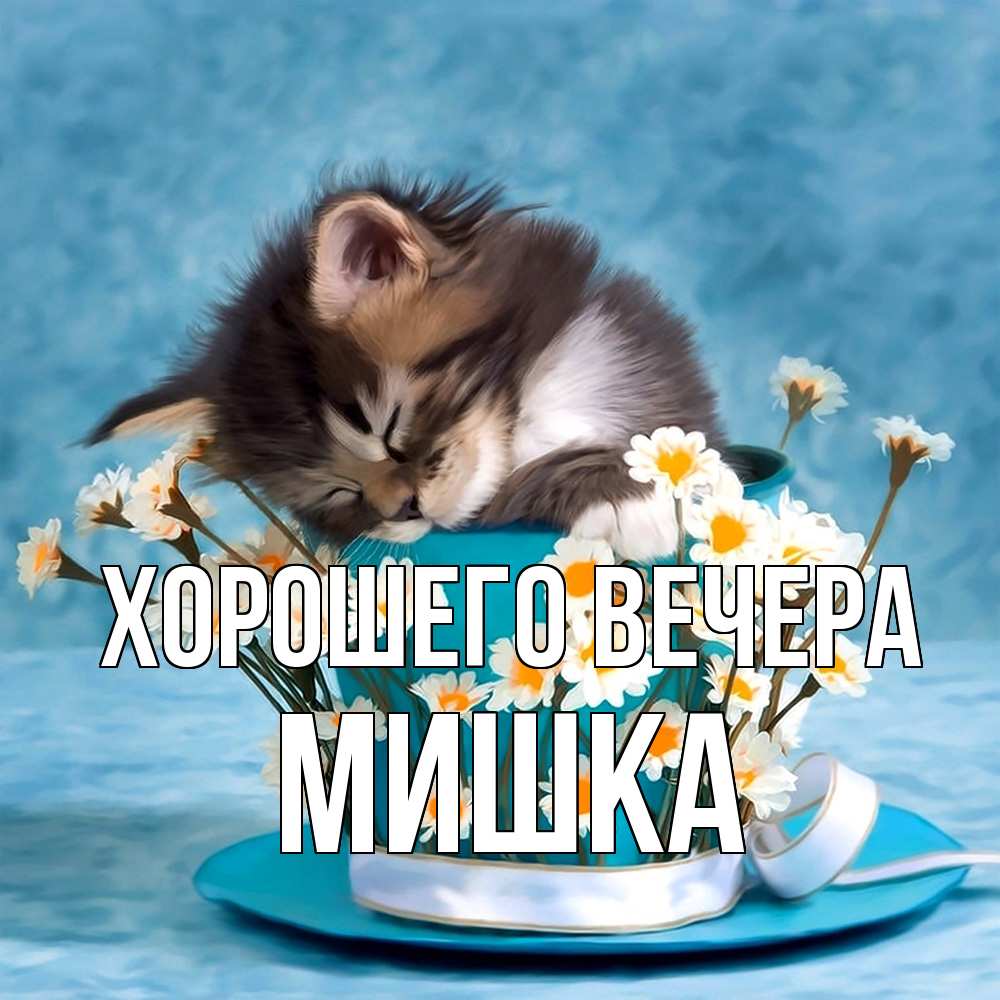 Картинка Хорошего вечера, мишка