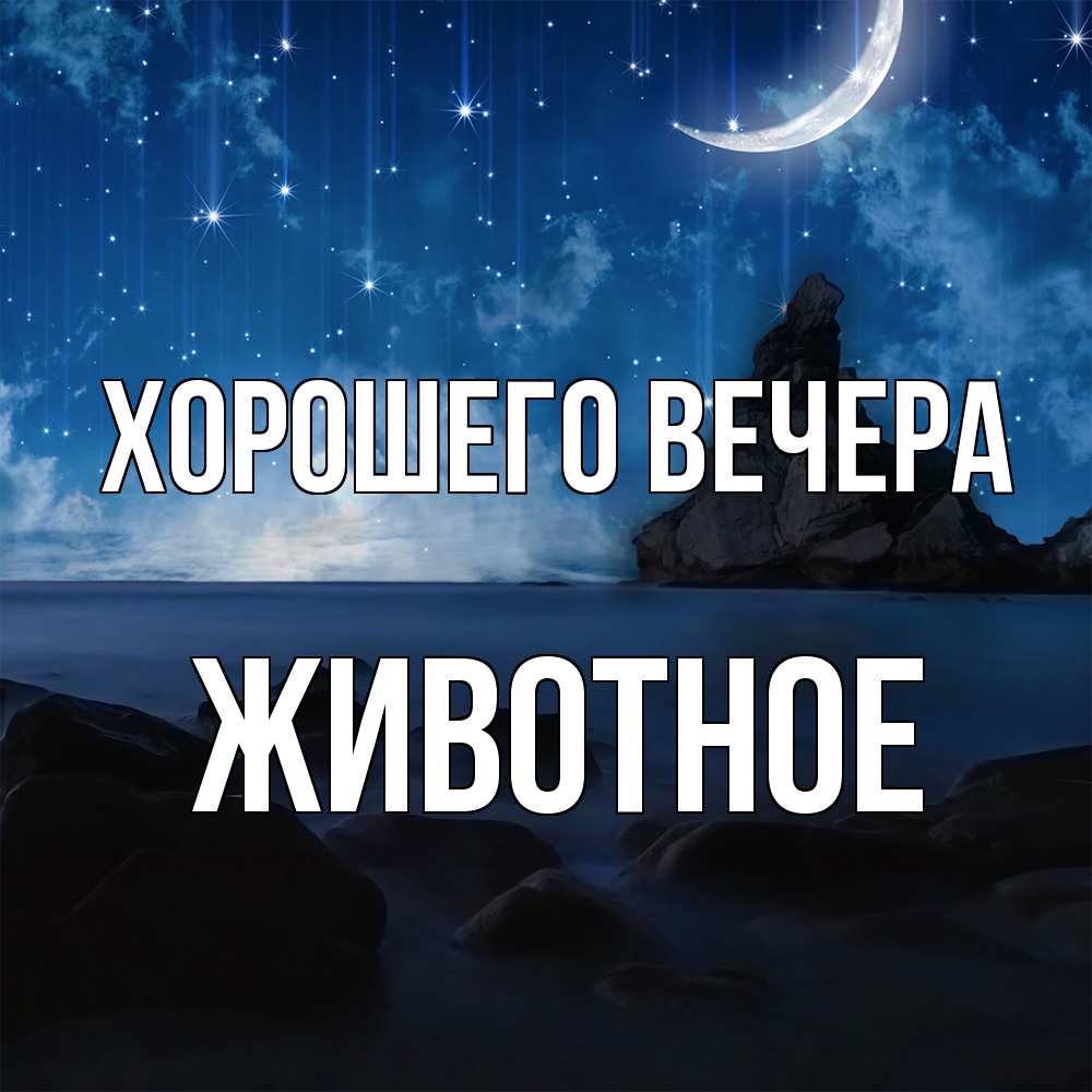 Открытка  для любимых и родных. животное, Хорошего вечера  