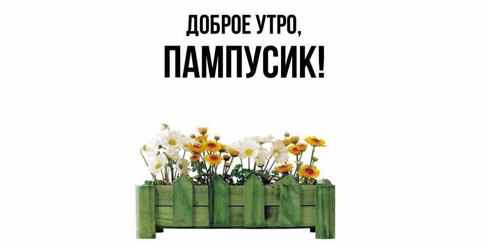Картинка Доброе утро, пампусик