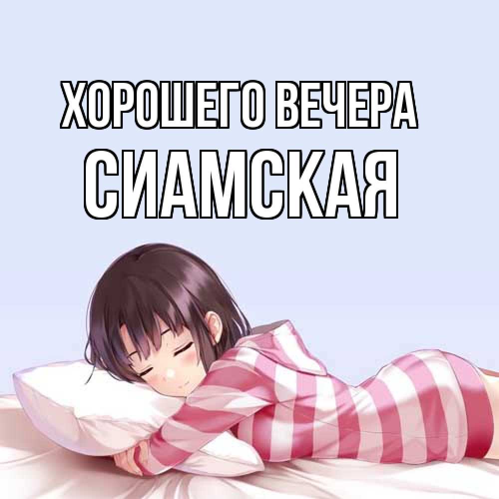 Картинка Хорошего вечера, сиамская