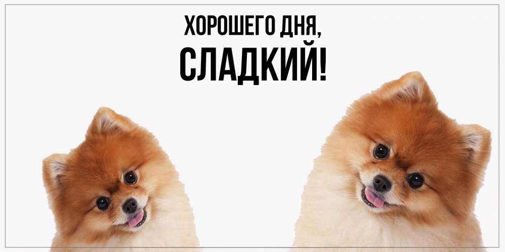 Открытка  для любимых и родных. сладкий, Хорошего дня  
