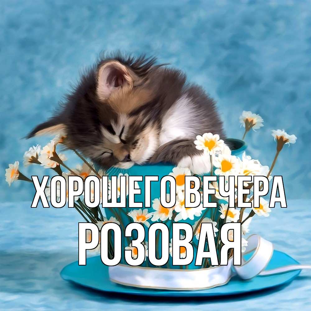Открытка  для любимых и родных. розовая, Хорошего вечера  