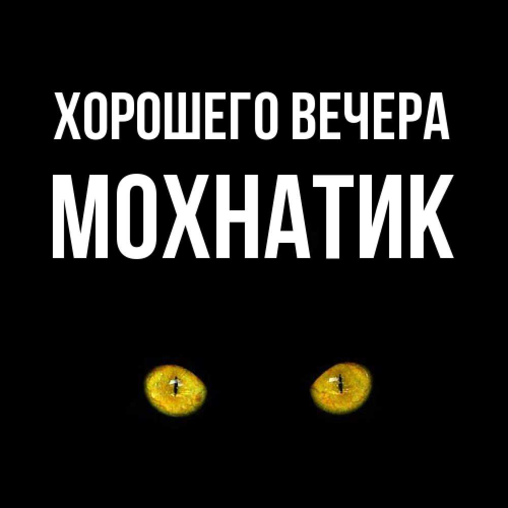 Открытка  для любимых и родных. мохнатик, Хорошего вечера  