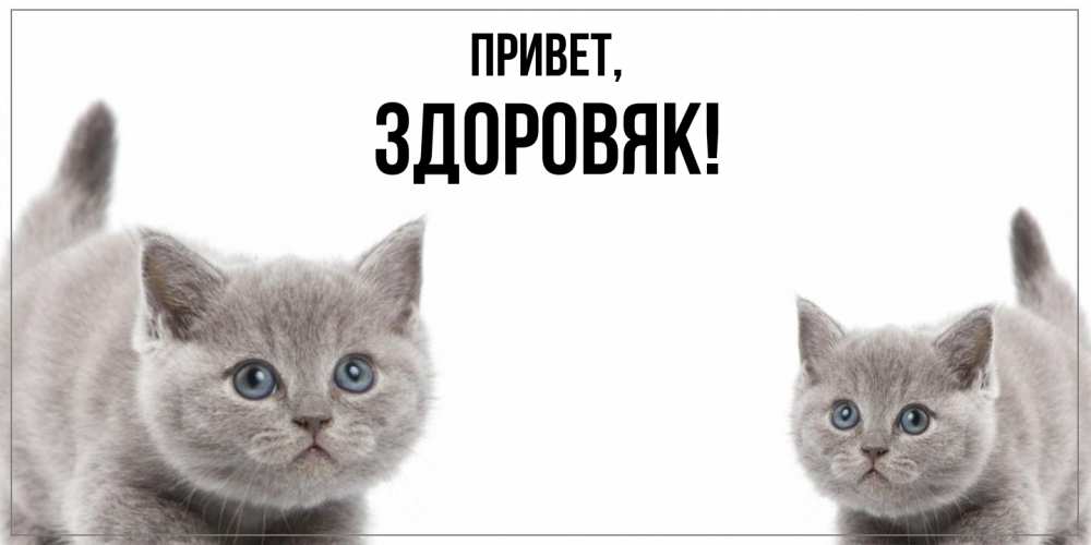 Открытка  для любимых и родных. здоровяк, Привет  