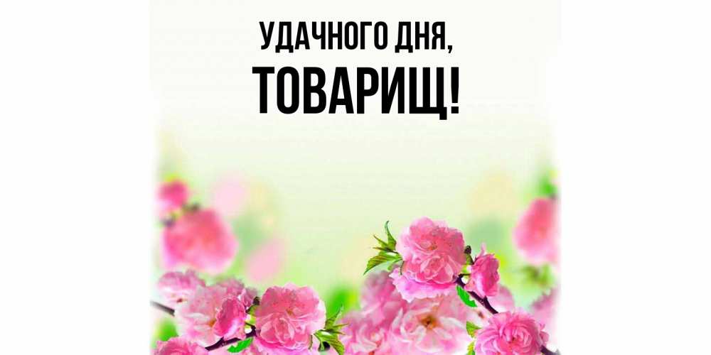 Картинка Удачного дня, Товарищ