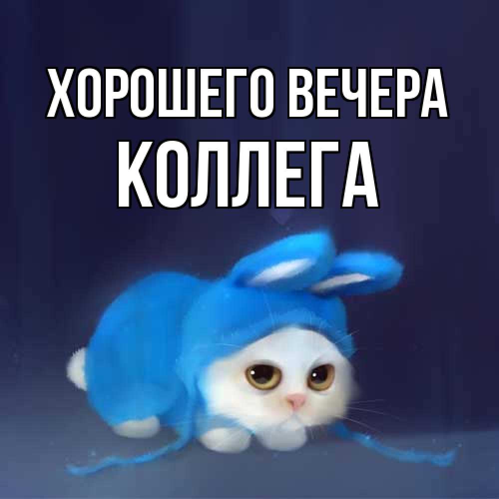 Открытка  для любимых и родных. Коллега, Хорошего вечера  