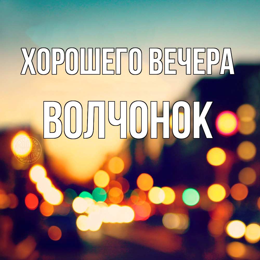 Открытка  для любимых и родных. волчонок, Хорошего вечера  