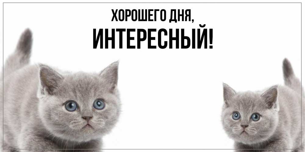 Открытка  для любимых и родных. интересный, Хорошего дня  