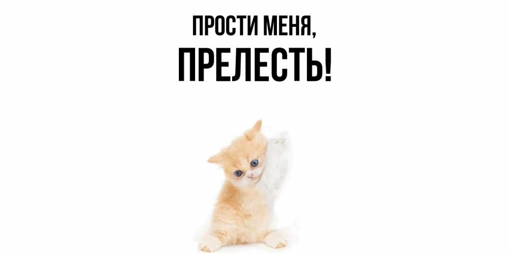 Картинка Прости меня, пpелесть