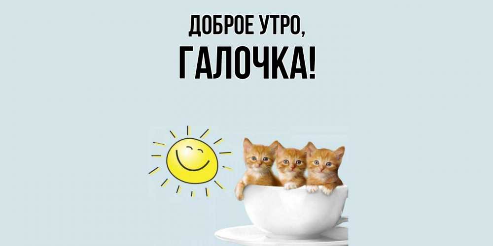 Открытка  для любимых и родных. галочка, Доброе утро  