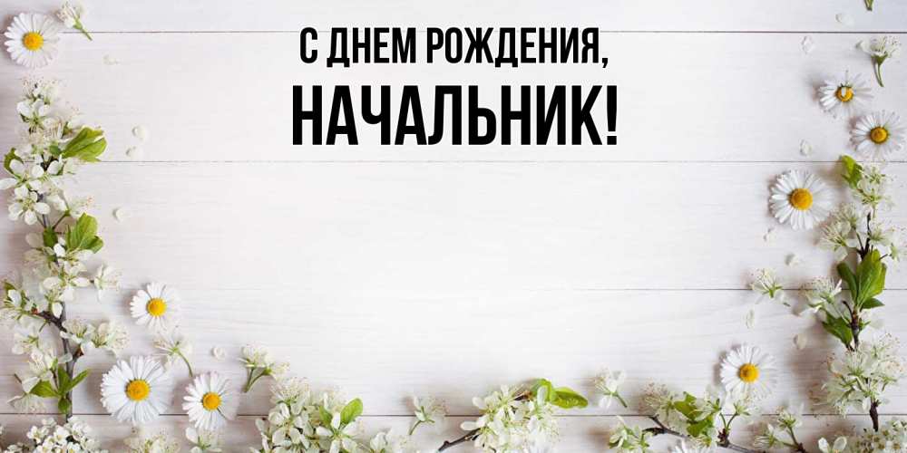 Открытка  для любимых и родных. Начальник, С днем рождения  