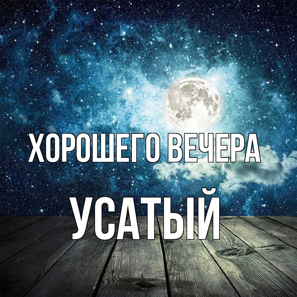 Открытка  для любимых и родных. усатый, Хорошего вечера  