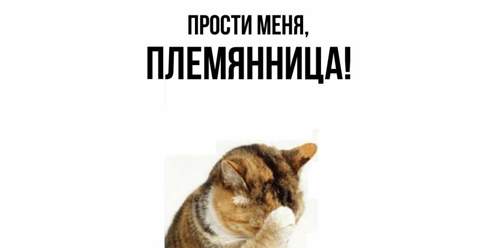 Открытка  для любимых и родных. Племянница, Прости меня  