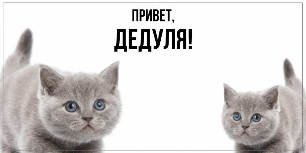 Картинка Привет, Дедуля