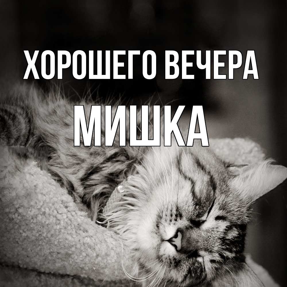 Картинка Хорошего вечера, мишка