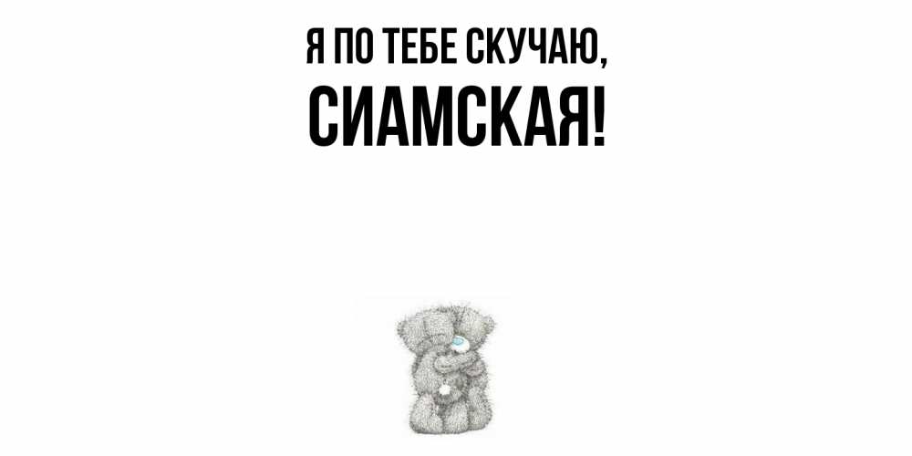 Картинка Я по тебе скучаю, сиамская