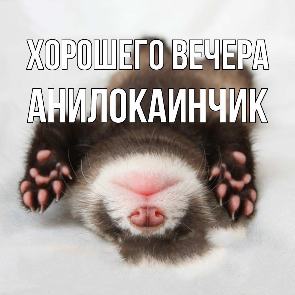 Открытка  для любимых и родных. анилокаинчик, Хорошего вечера  
