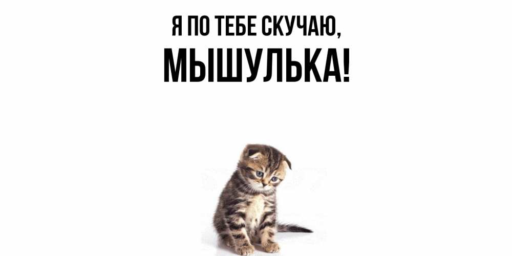 Открытка  для любимых и родных. мышулька, Я по тебе скучаю  