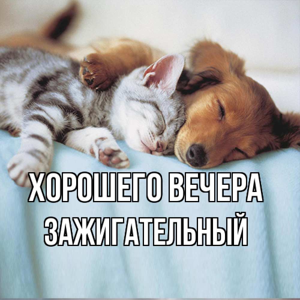 Открытка  для любимых и родных. зажигательный, Хорошего вечера  