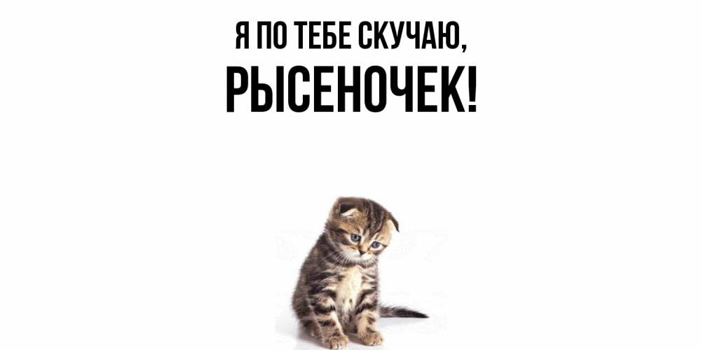 Открытка  для любимых и родных. рысеночек, Я по тебе скучаю  