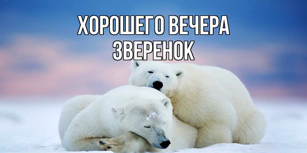 Картинка Хорошего вечера, звеpенок