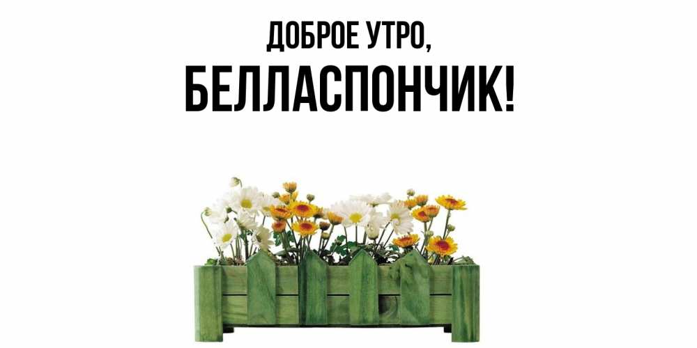 Открытка  для любимых и родных. белласпончик, Доброе утро  