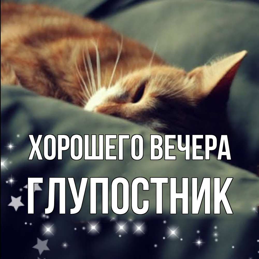 Открытка  для любимых и родных. глупостник, Хорошего вечера  