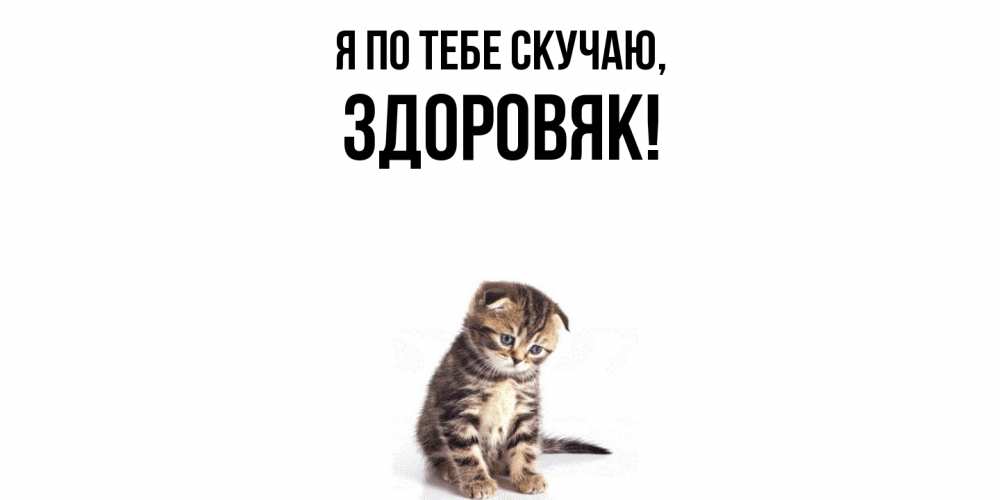 Открытка  для любимых и родных. здоровяк, Я по тебе скучаю  
