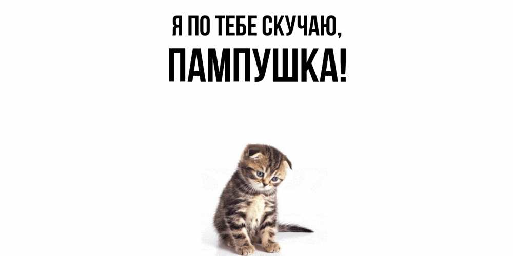 Картинка Я по тебе скучаю, пампушка