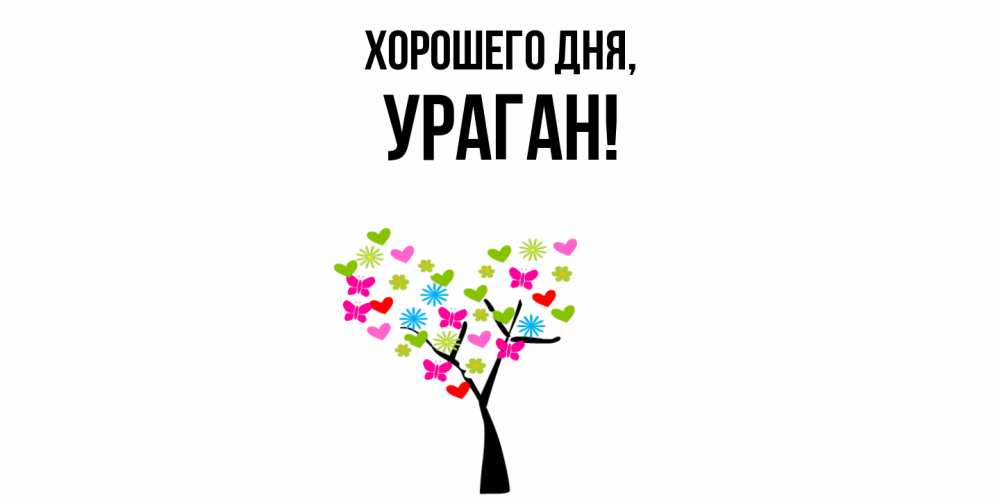 Открытка  для любимых и родных. ураган, Хорошего дня  