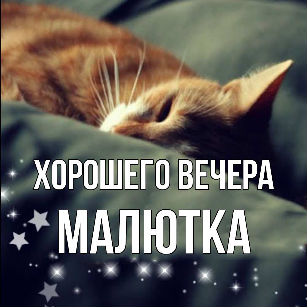 Открытка  для любимых и родных. малютка, Хорошего вечера  