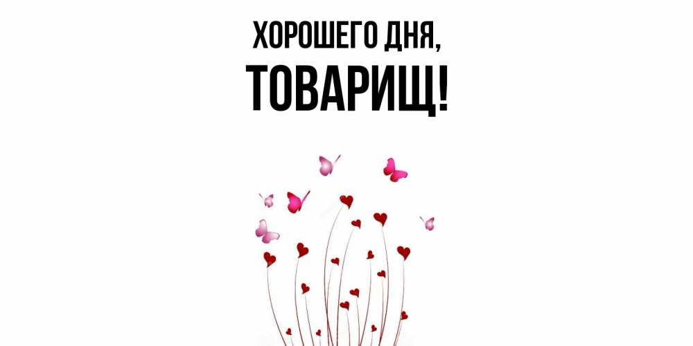 Картинка Хорошего дня, Товарищ