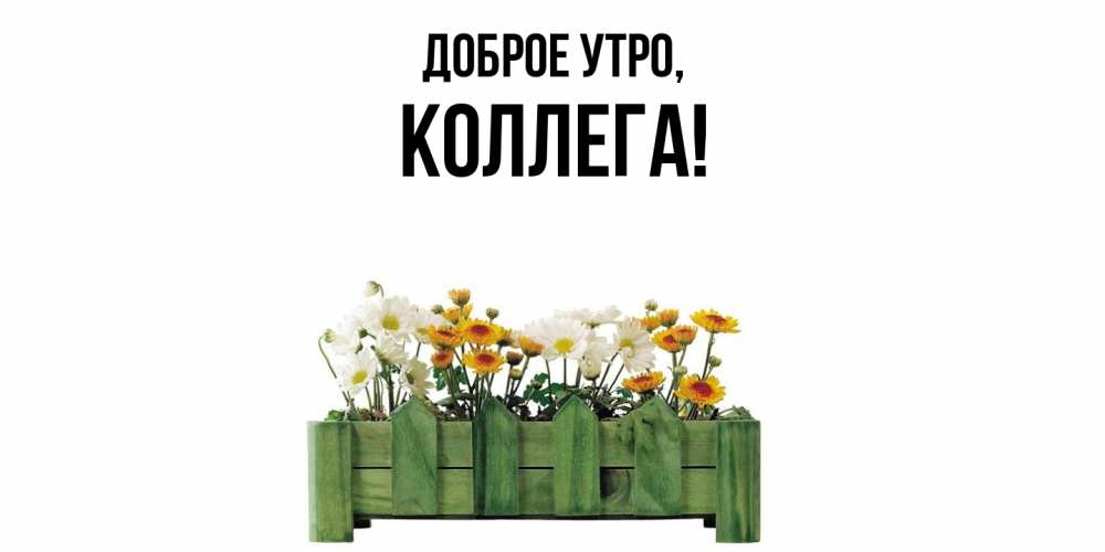 Открытка  для любимых и родных. Коллега, Доброе утро  